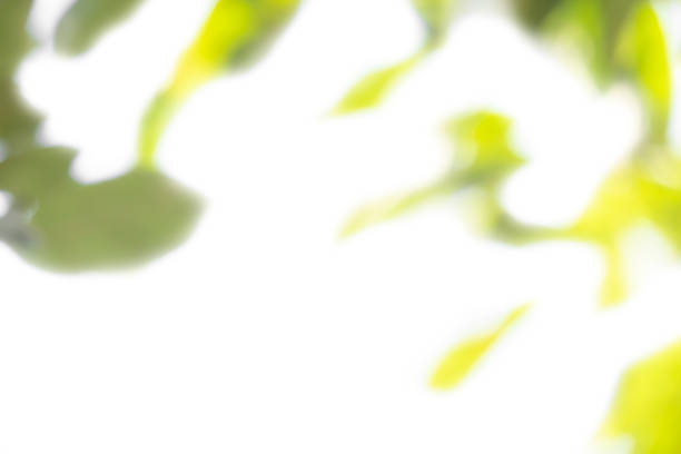 istock Abstract natural background, yellow and green. 1339722979