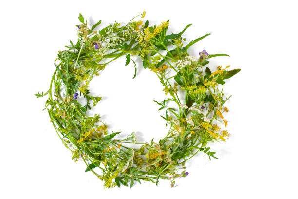 istock Beautiful wreath with colorful flowers. 1339726788