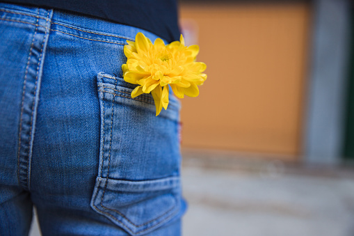 Freshly picket yellow flowers in a back pocket of jeans