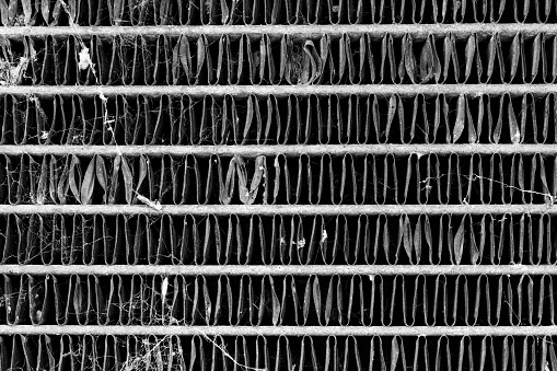 An old and damaged vehicle radiator with debris and spider webs.