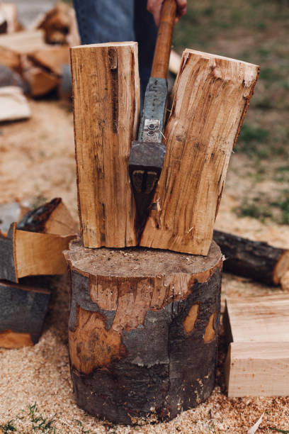 istock Wood Chopping With Hand Axe 1339728999