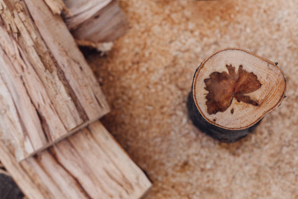istock Stump In The Sawdust 1339729209