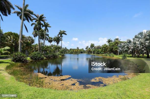 Fairchild Tropical Gardens Stock Photo - Download Image Now - Miami, Botanical Garden, Tropical Climate