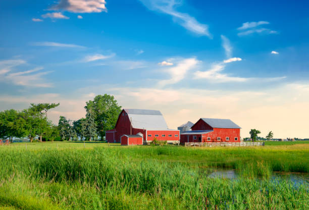 istock Marsh with barn in the background at sunrise-Hamilton County, Indiana 1339733119