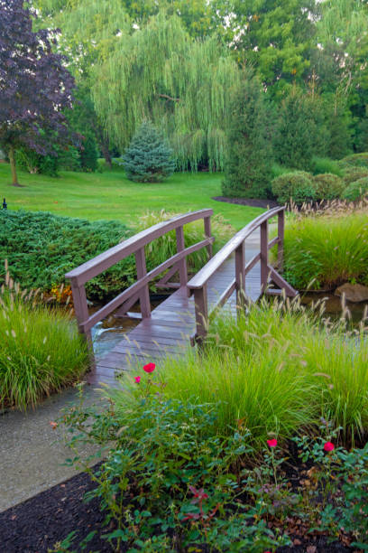 istock Walking Bridge over a small stream-Hamilton County, Indiana 1339733319