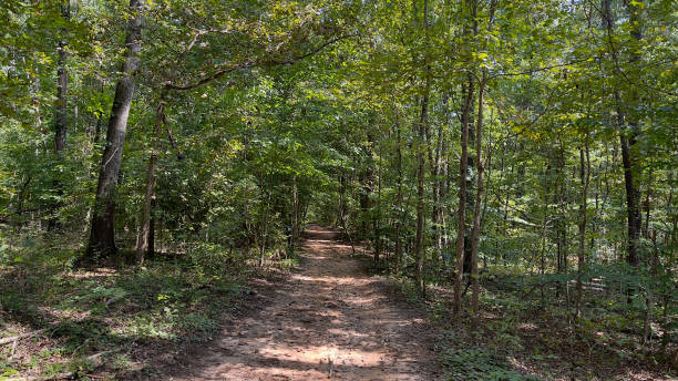 istock Hiking on a beautiful trail in Atlanta, GA 1339736127