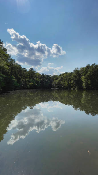 istock Hiking on a beautiful trail in Atlanta, GA 1339736205