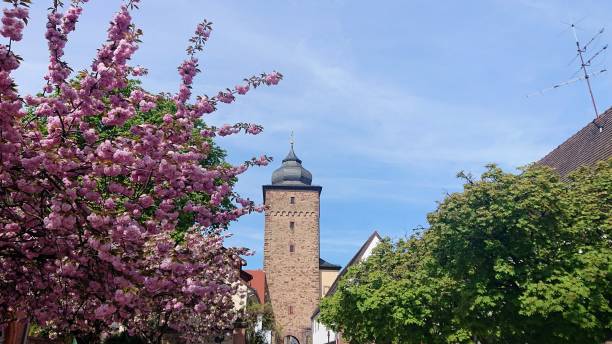 Germany. April. April is coming and blossom is starting at Durlach, Karlsruhe. Durlach, old historical borough of Karlsruhe. karlsruhe durlach stock pictures, royalty-free photos & images