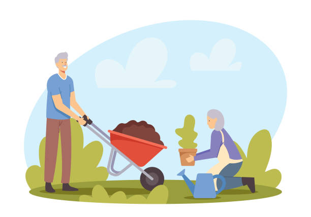 ilustraciones, imágenes clip art, dibujos animados e iconos de stock de pareja de personajes pensionistas femeninos plantando árboles. hombre anciano con tierra en carretilla, mujer sostiene planta - gardening senior adult action couple