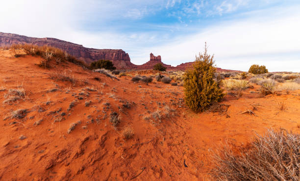 istock Desert in Utah, USA 1339740359