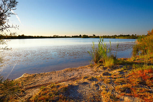 istock Kind on the river with green coast 133974197