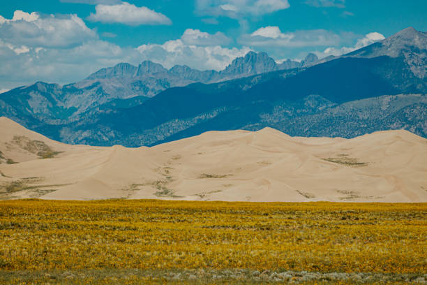 istock Sunflowers, sand dues, mountains 1339749664