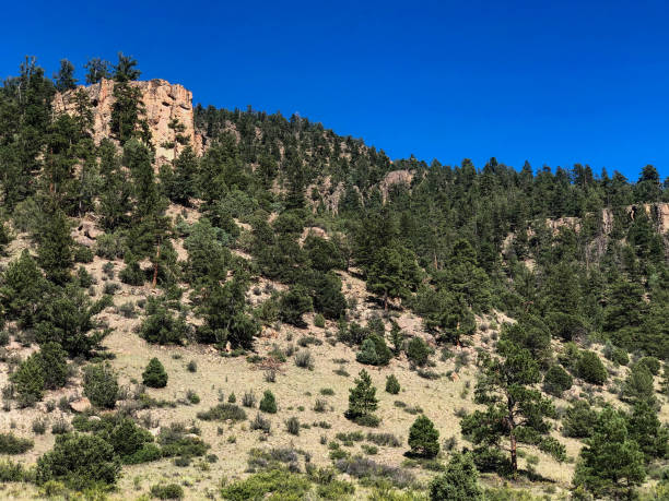 istock Cliff peaks on Colorado mountains 1339754404