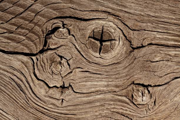 istock Old dry-grained wood with knots, cracks and rust marks. 1339754973