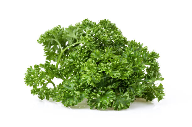 istock Fresh Parsley isolated on white 1339758161