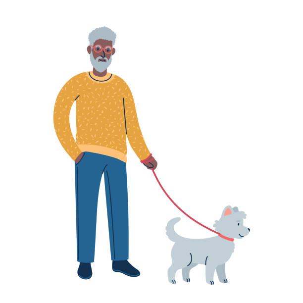 Walking A Dog On A Leash Flat Style Illustration Stock Illustration -  Download Image Now - African Ethnicity, Senior Adult, Active Lifestyle -  iStock