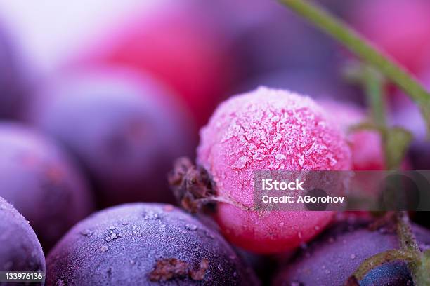 Photo libre de droit de Gelée De Fruits Rouges banque d'images et plus d'images libres de droit de Agriculture - Agriculture, Aliment, Aliments et boissons