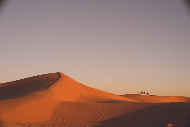 istock Morocco Merzouga Sahara Desert Sand Dunes. 1339763147