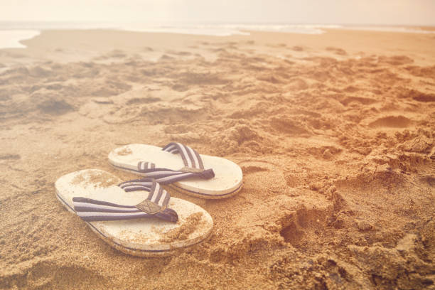 istock Flip-flops on a sandy beach of sea 1339763170