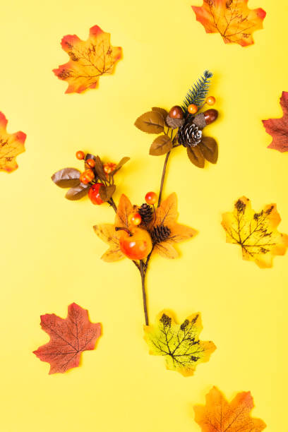 istock Autumn composition with fall leaves on ultimate yellow backgroun 1339764237
