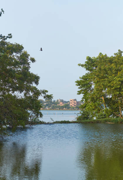 istock Fisheries at East Kolkata Wetlands 1339764961