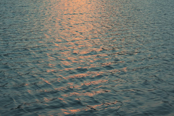 istock Ripples in pond water at dusk 1339764986