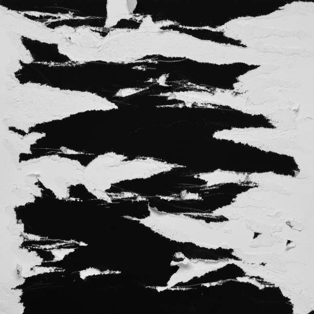 istock Black and White Torn Paper Collage Style, Ripped Paper Effect, Texture Abstract Background, Copy Space for Text. 1339767548