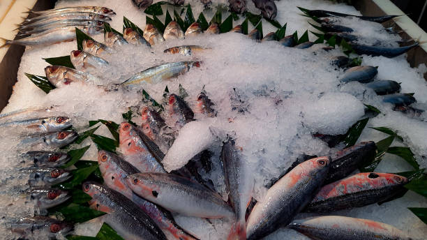frozen fish sold in supermarkets
