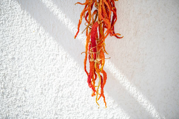 Dried Chillies Hanging on the Wall
