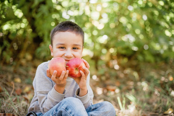 istock Children with Apple in Orchard. Harvest Concept. 1339779871