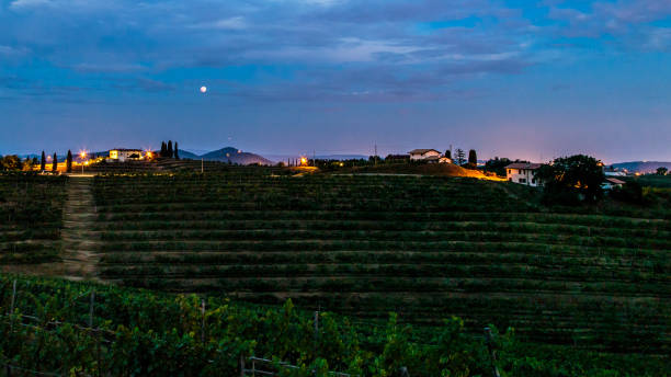 istock Evening in the vineyard of Rosazzo during a moon eclipse 1339791991