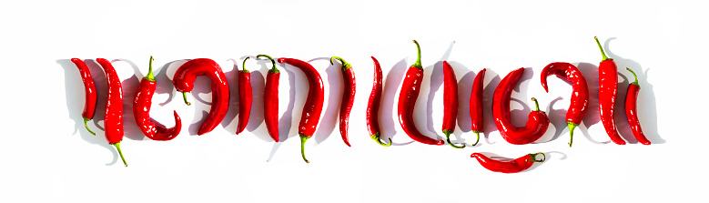 Hot red peppers of different shapes in a row in the form of a decorative ornament. Spice ornament. Banner.