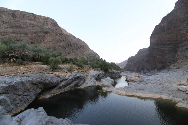 istock Nature in Oman 1339793007