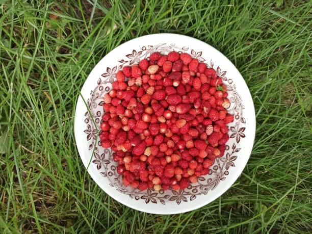 fresh strawberries in a bowl on the grass