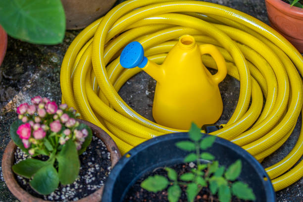 istock Watering can with plant 1339797545