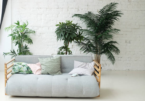 istock sofa in the room next to the flowers 1339797730