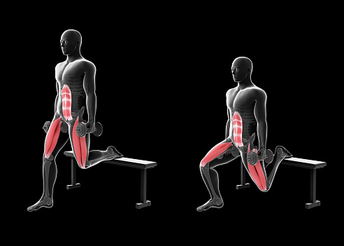 This 3d illustration shows  an xray man performing bulgarian split squat dumbbell on a black background