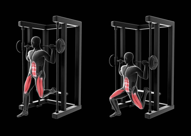 3d иллюстрация болгарского сплит-приседания на multipower - crouching exercising anatomy human muscle стоковые фото и изображения