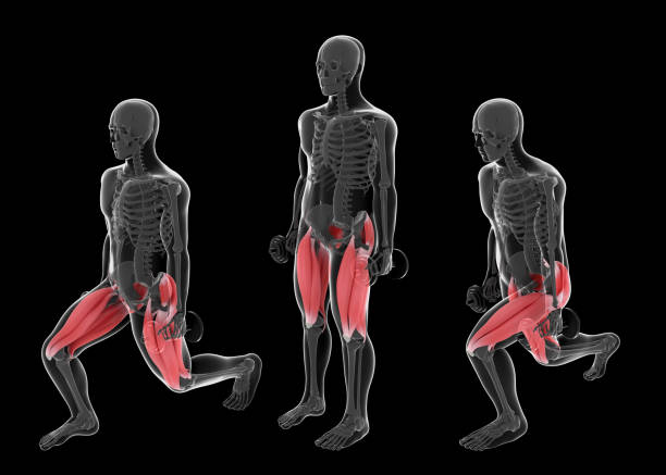 3D Illustration of the Frontal View of Alternate Front Lunges With Dumbbell on Black Background stock photo