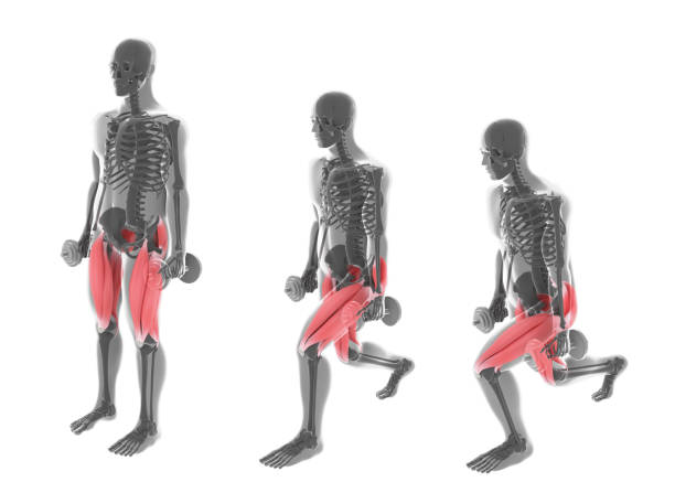 istock 3D Illustration of the Positions Sequence of Alternate Front Lunges with Dumbbell on White Background 1339801384