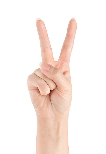 istock Peace Sign or Victory on a white background 133980265