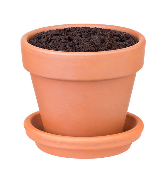 istock Flower pot with the soil 133980268