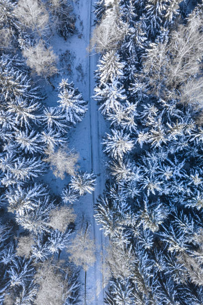 istock Road and snowy forest. Transportation in winter. 1339804897