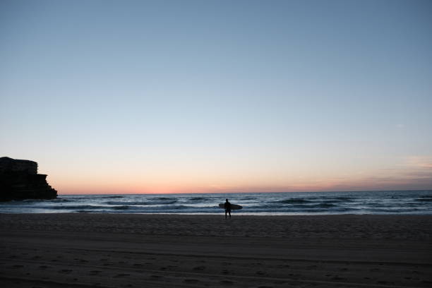 USA California  Los Angeles, Santa Monica beach surfer