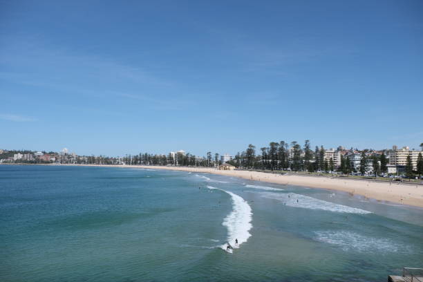 istock Early morning at Manly Beach 1339809265