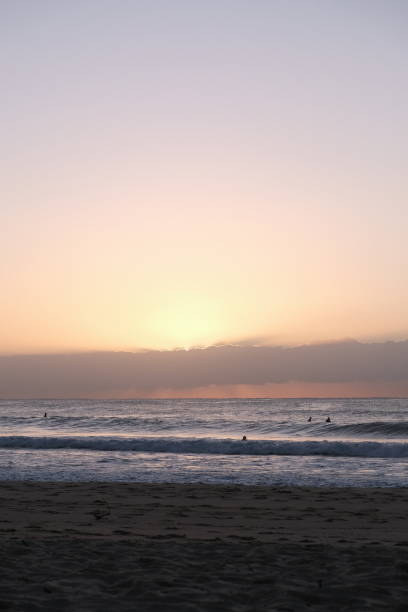 istock Early morning at Manly Beach 1339809307