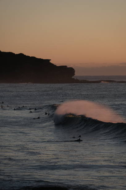istock Early morning at Manly Beach 1339809355