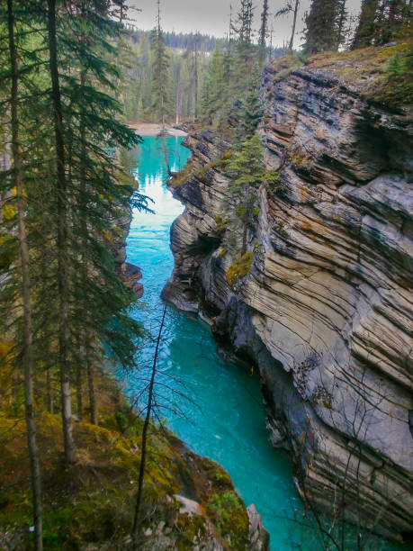 istock Canadian landscape 1339812664