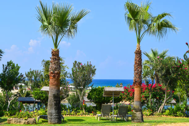 istock Relax zone on a tropical island 1339813369