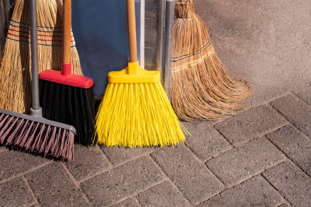 istock Various kinds of broom 1339813457